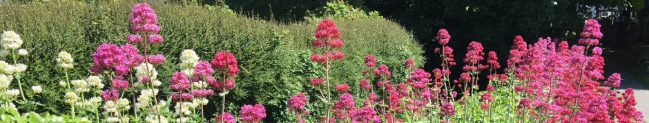 Louise Kevan – mum and writer